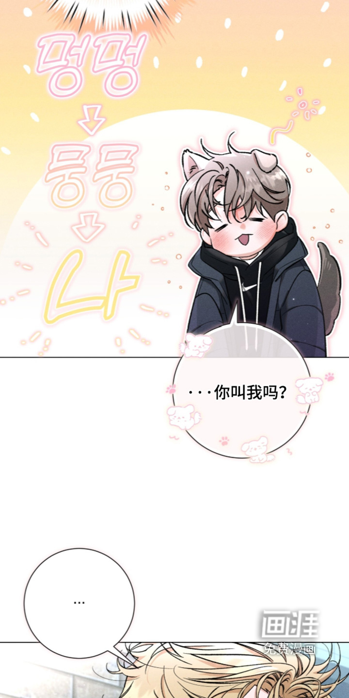 哥哥的糖果漫画-图15