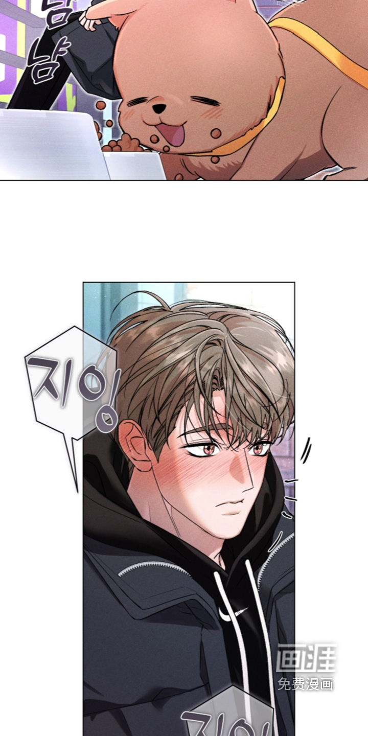 哥哥的糖果漫画-图18