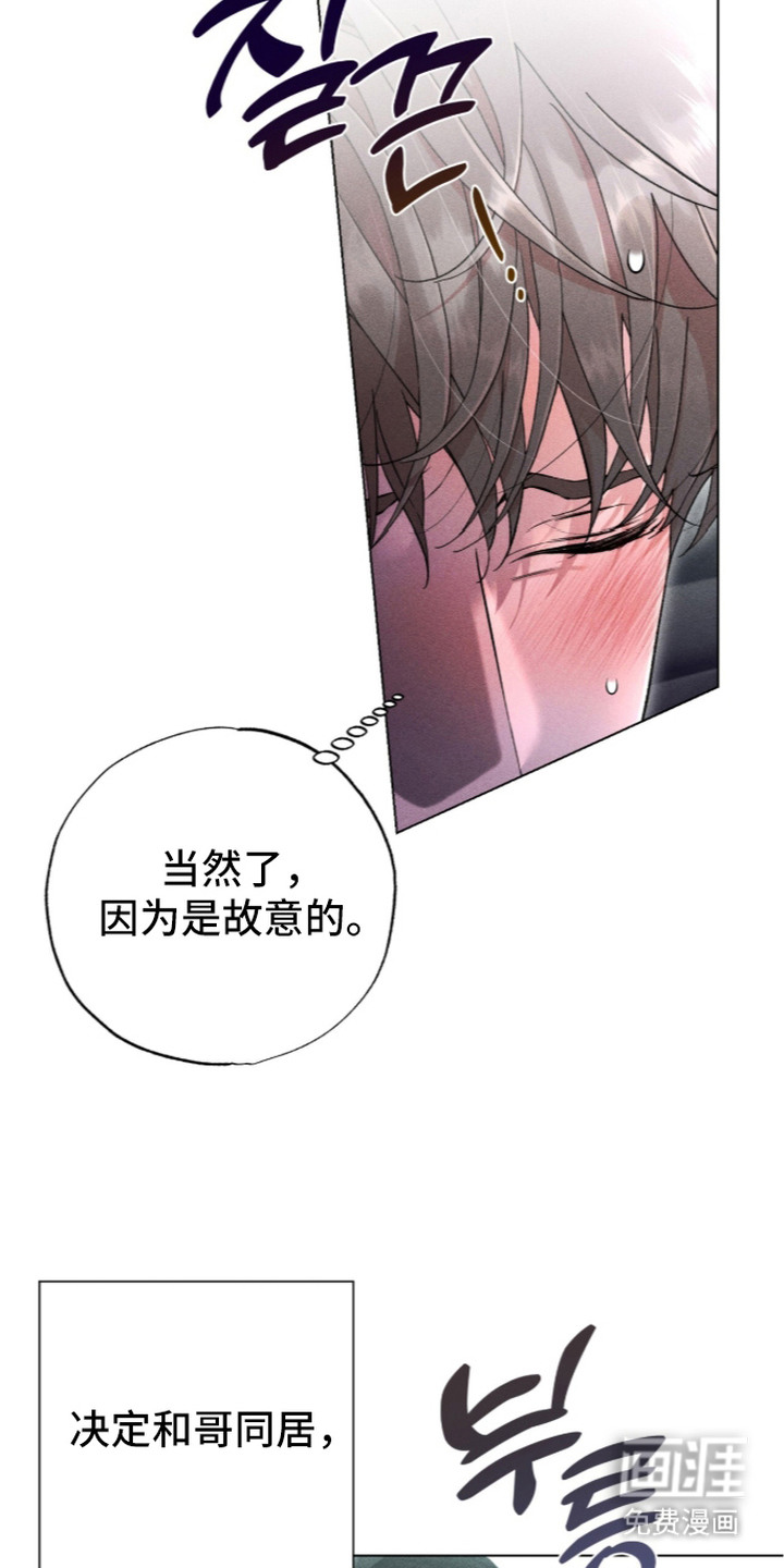 哥哥的糖果漫画-图8