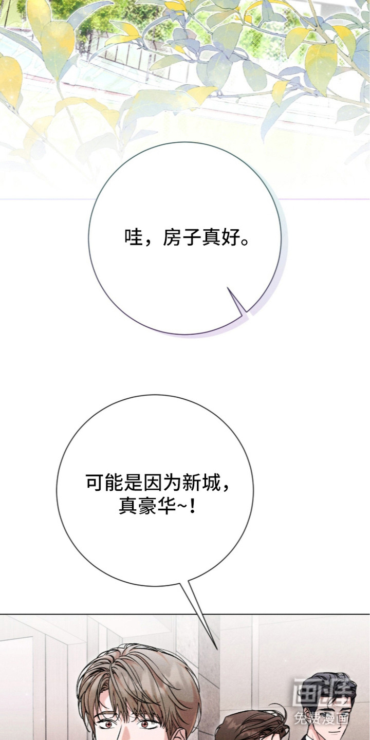 哥哥的糖果漫画-图6