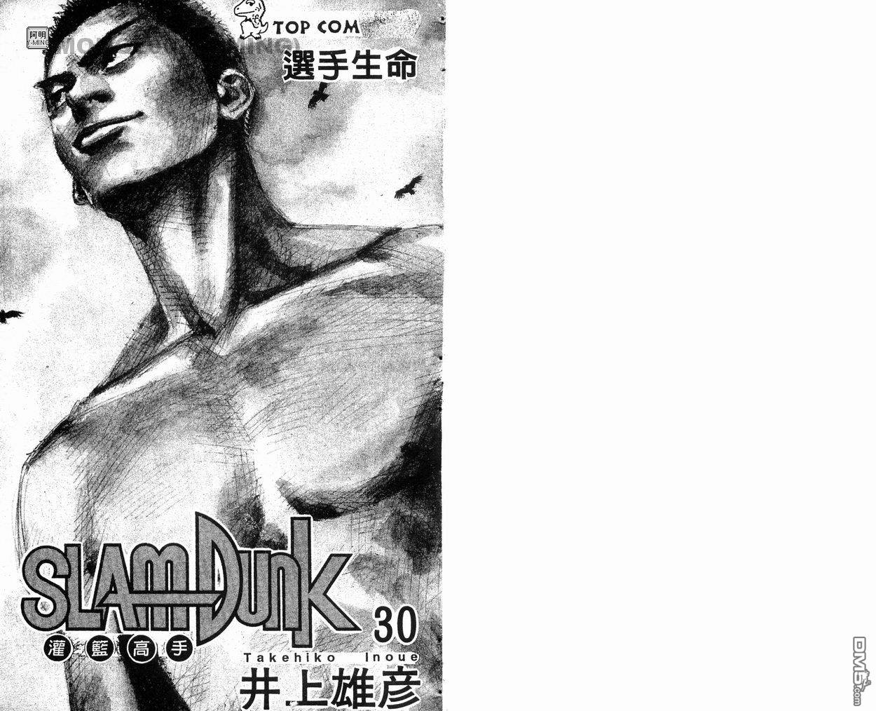 灌篮高手第30卷图