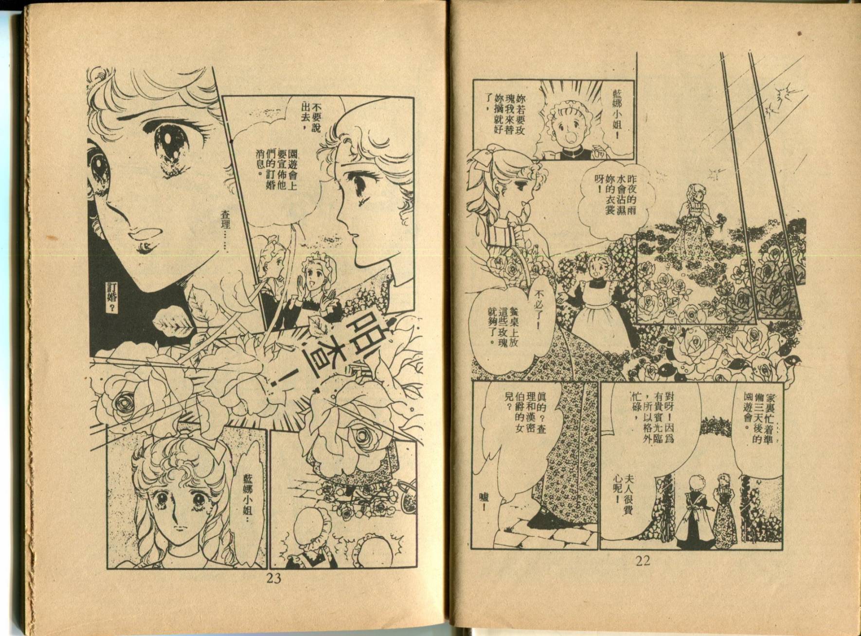 古堡传奇 全1卷 第13页