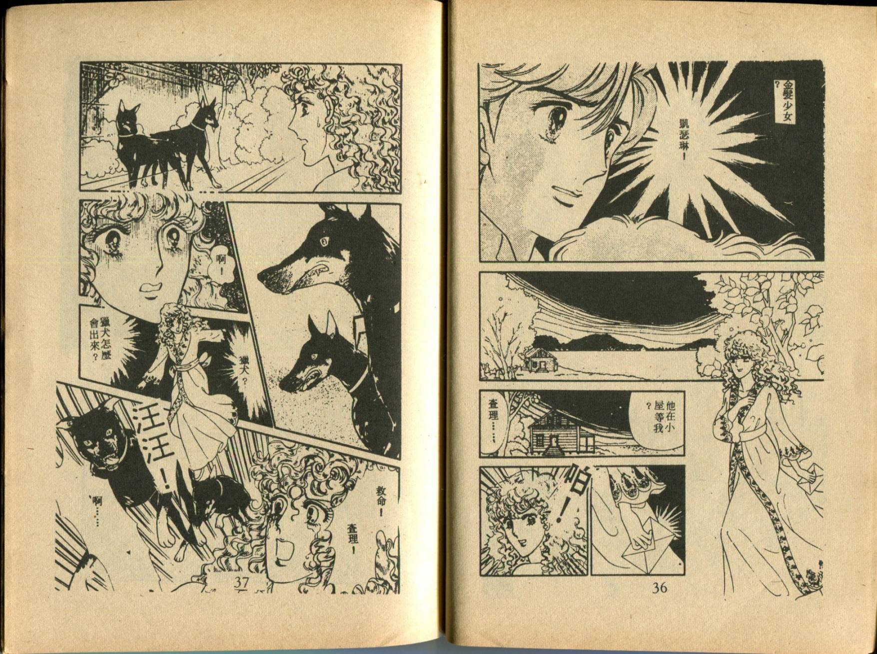 古堡传奇 全1卷 第20页