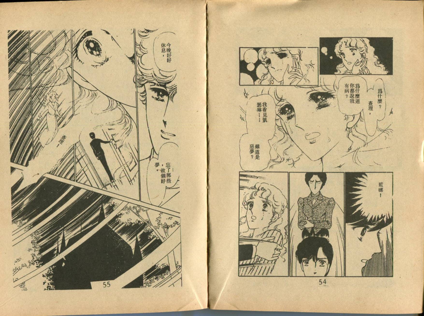 古堡传奇 全1卷 第29页