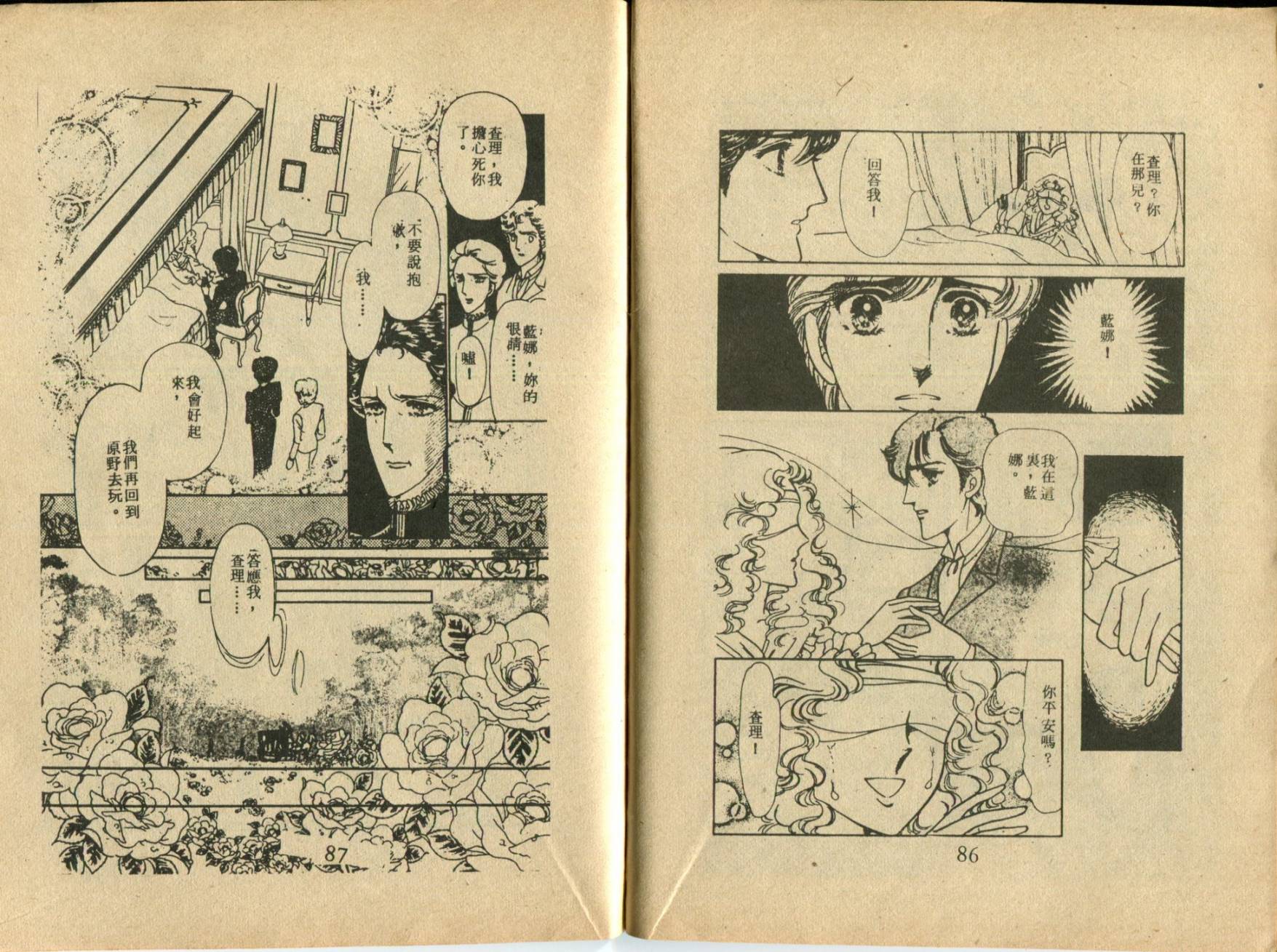 古堡传奇 全1卷 第45页