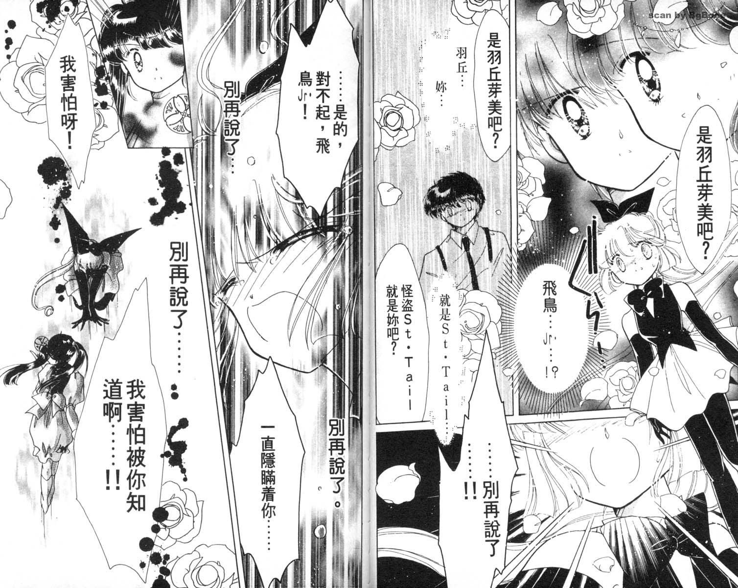 怪盗st.tail 第6卷 第17页