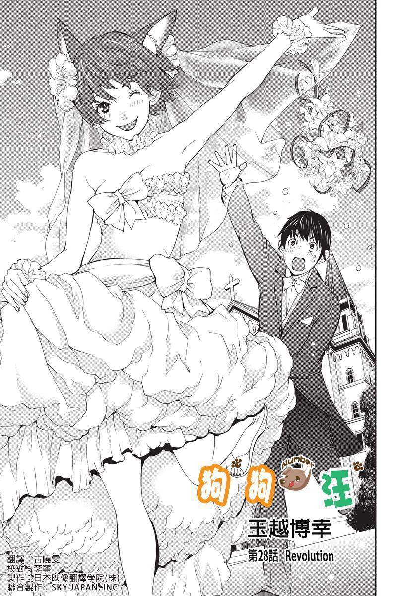 狗狗number汪第28话图