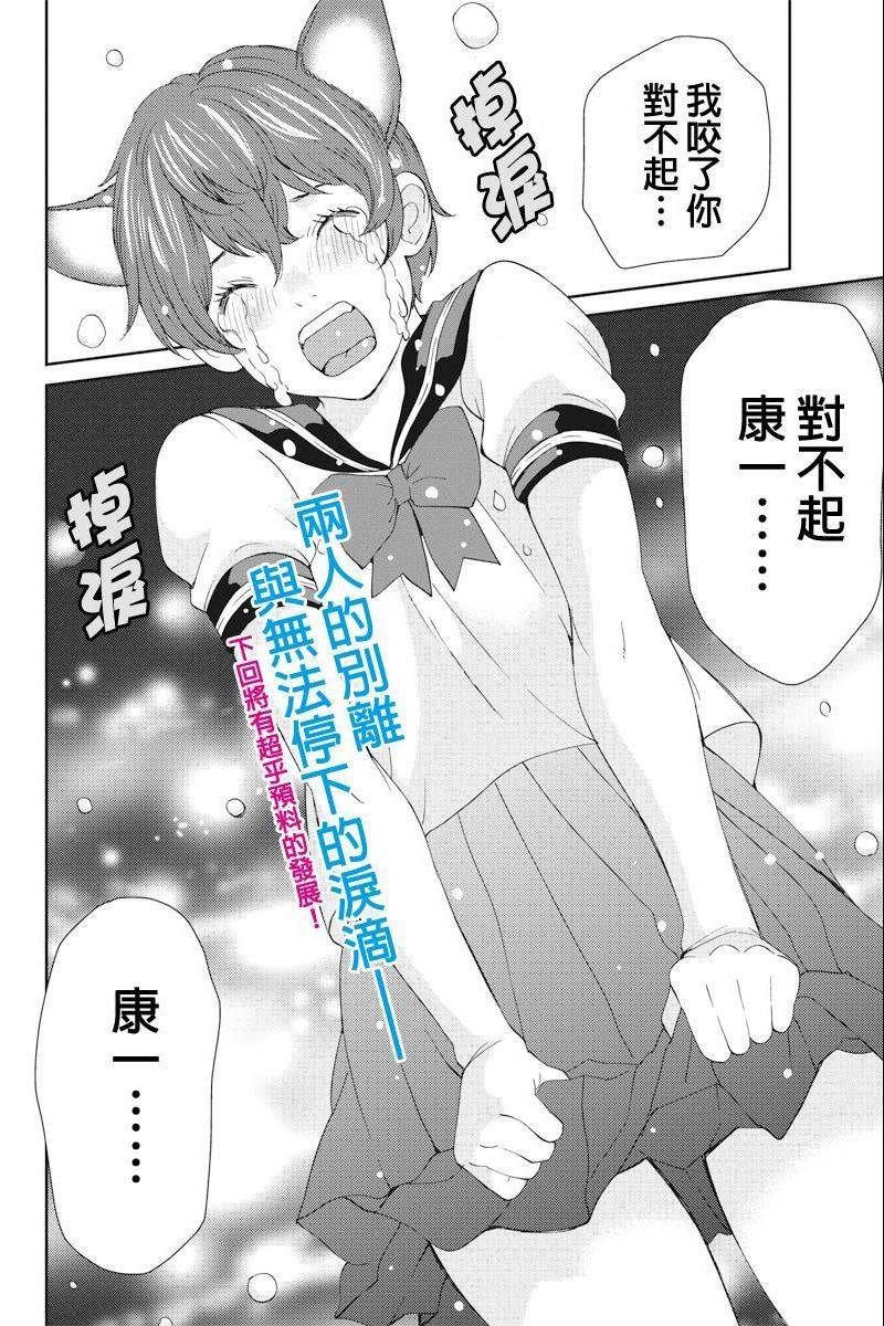 狗狗number汪第31话图