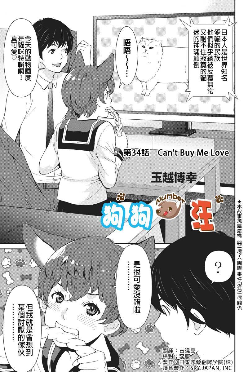 狗狗number汪第34话图