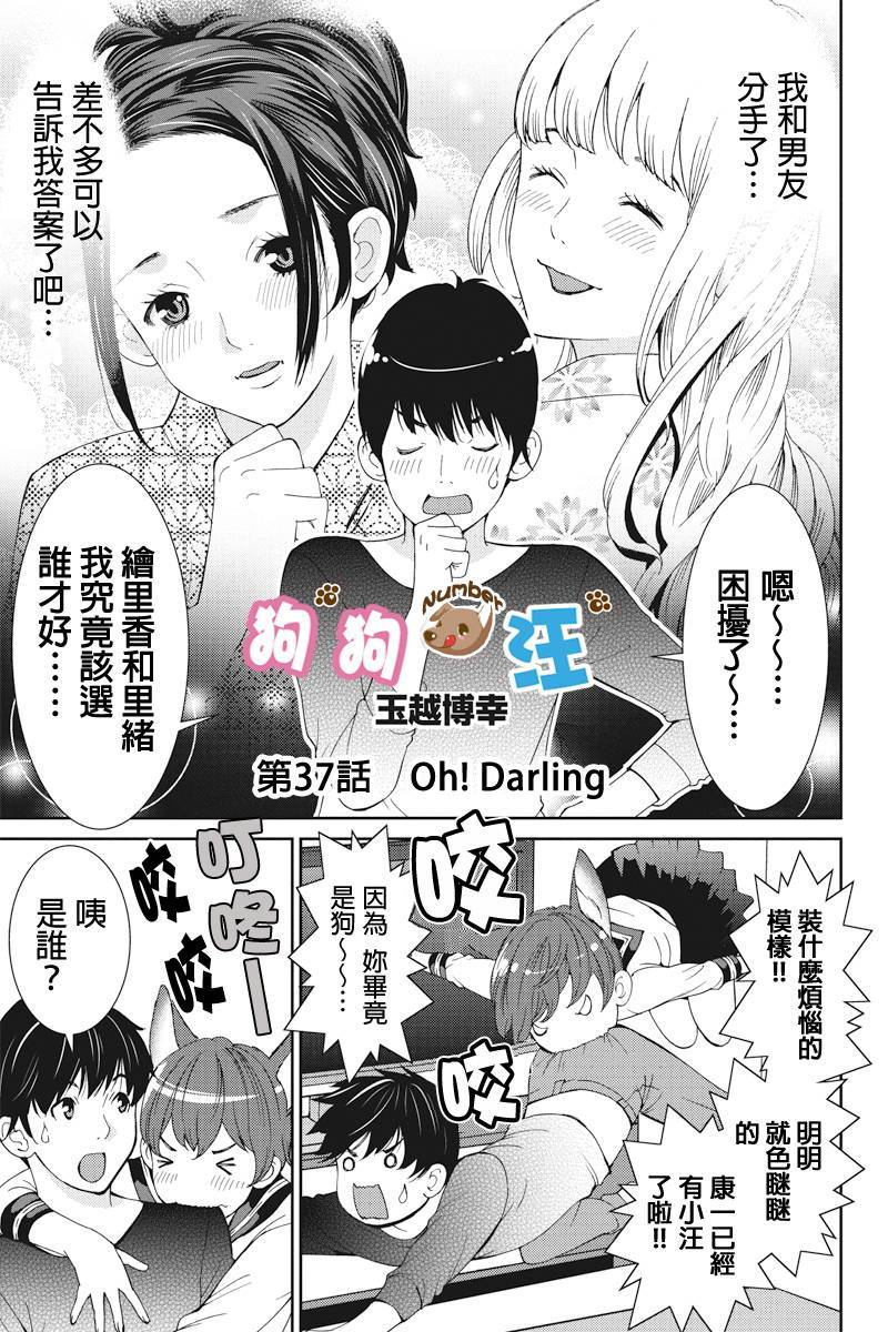 狗狗number汪第37话图