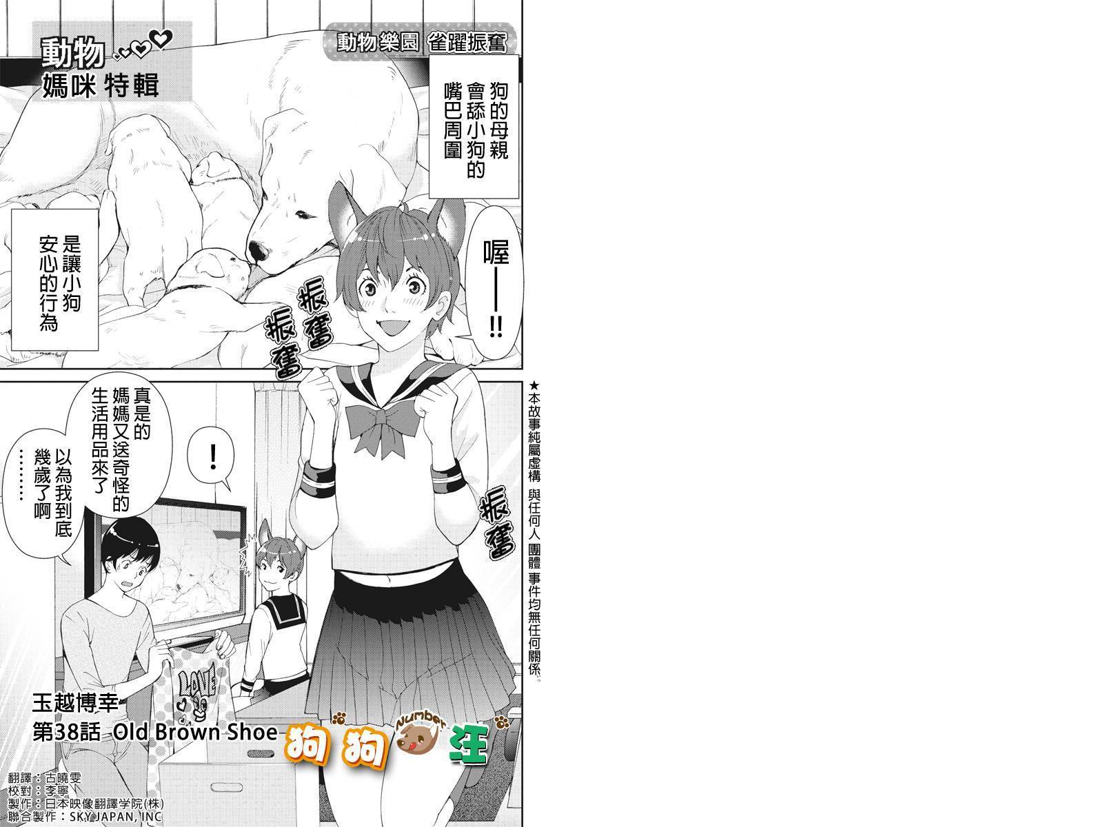 狗狗number汪第38话图