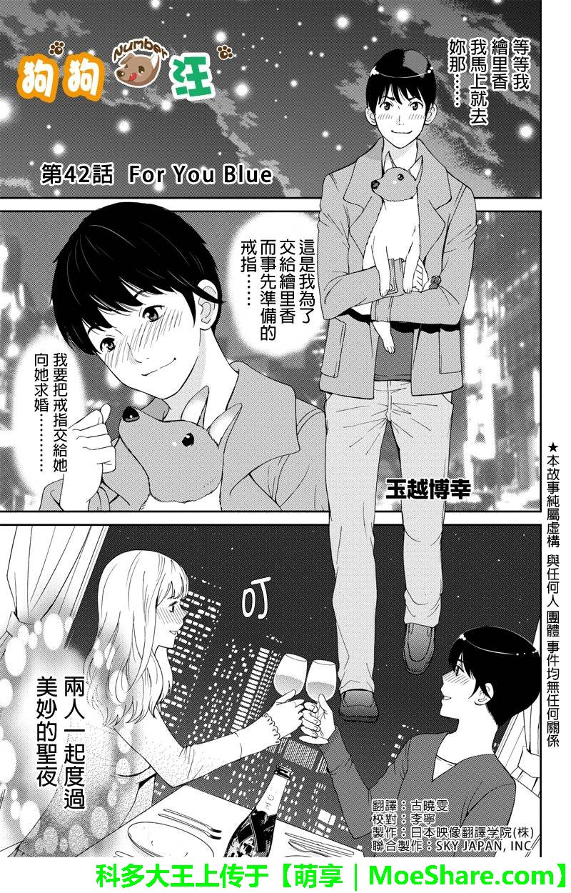 狗狗number汪第42话图