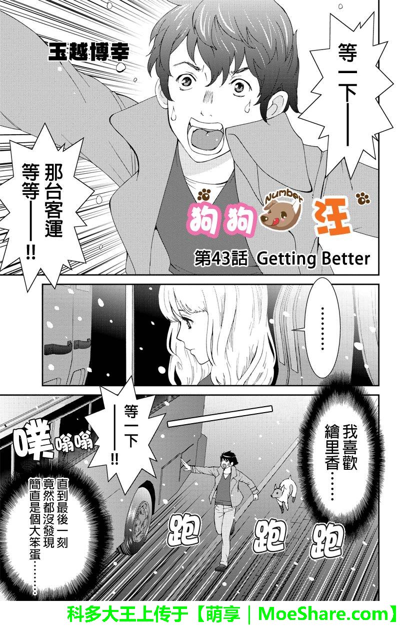 狗狗number汪第43话图