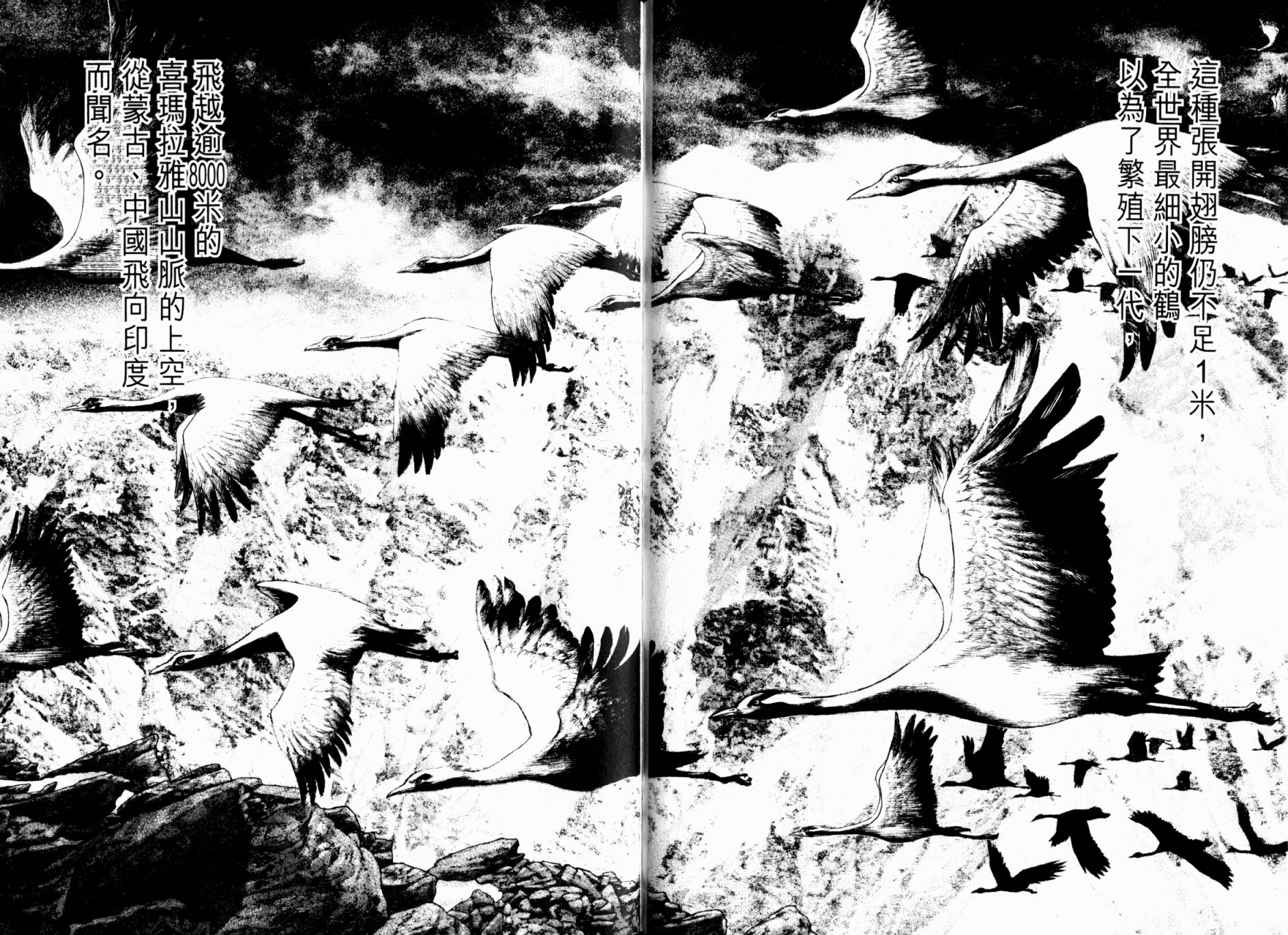 孤高之人 第17卷 第63页