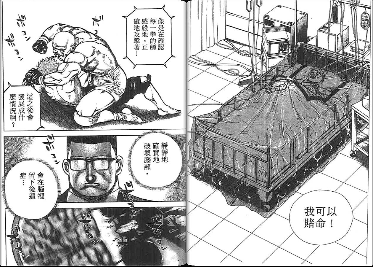 高校铁拳传第33卷图