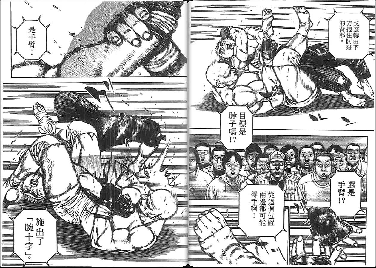 高校铁拳传第33卷图