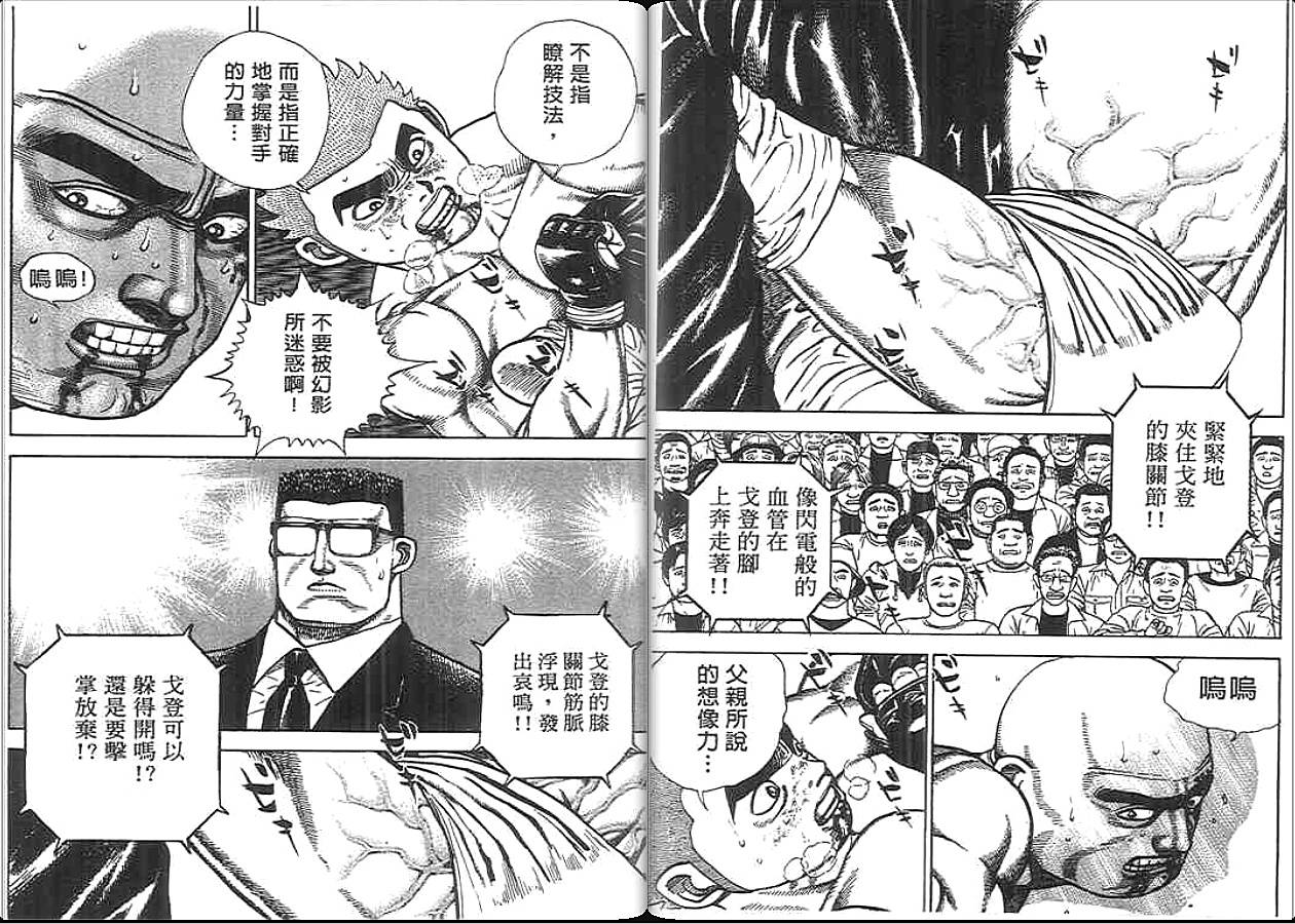 高校铁拳传第33卷图