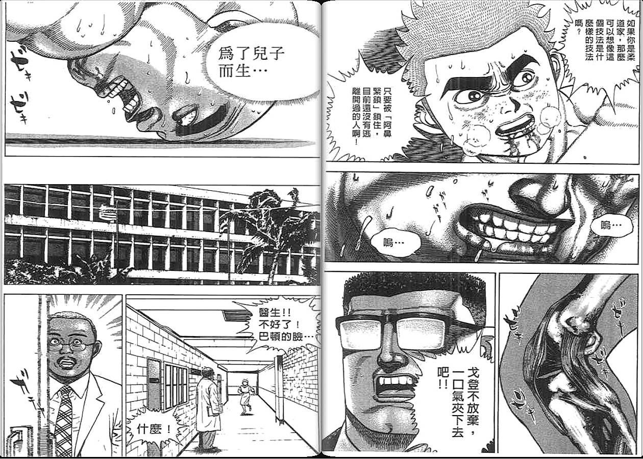 高校铁拳传第33卷图