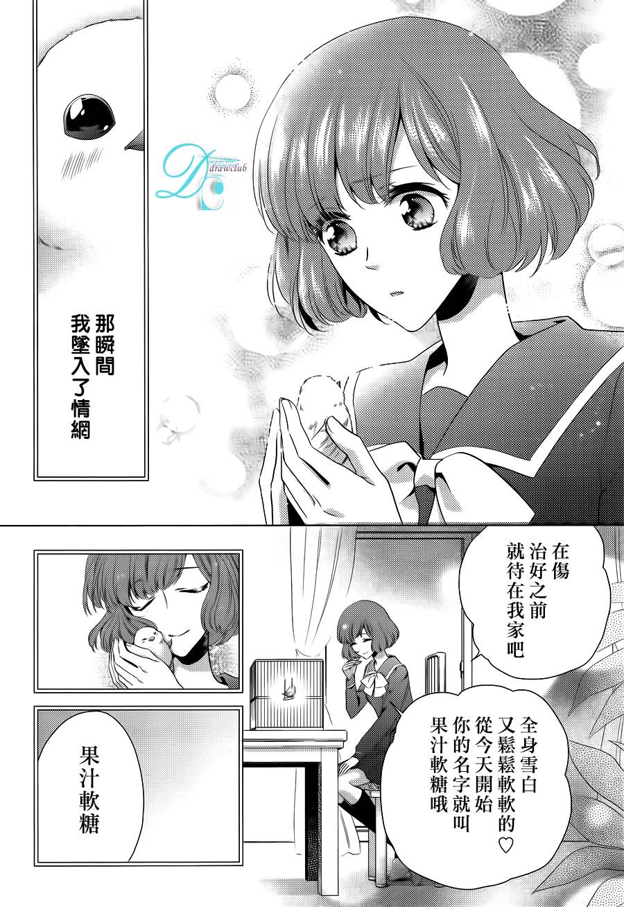 果汁软糖麻雀之恋全1话图