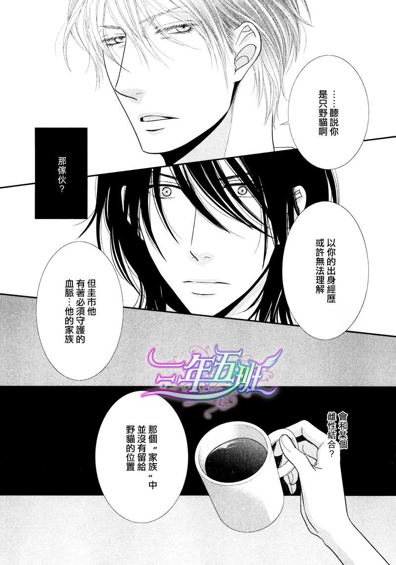 黑猫男友的疼爱方式第3话图