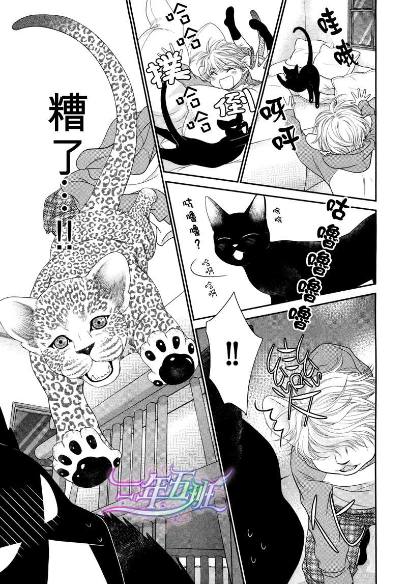 黑猫男友的疼爱方式第3话图