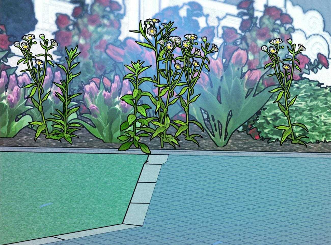 厚颜无耻 第26话 第54页