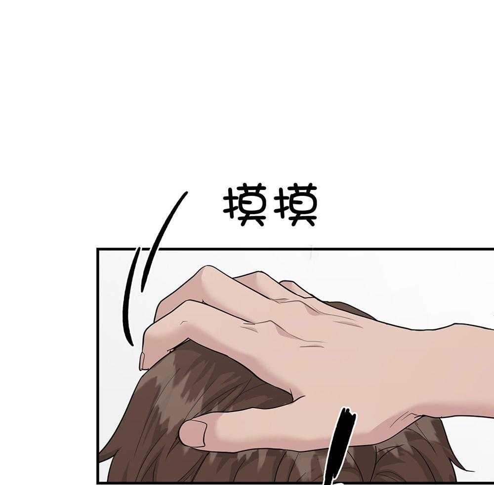 户籍伴侣第113话图