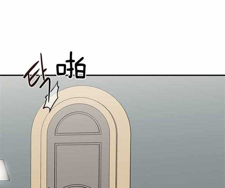 户籍伴侣第47话图