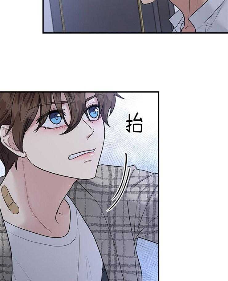 户籍伴侣第75话图