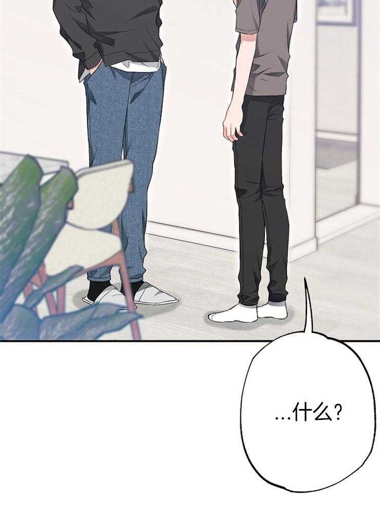 呼吸同一片空气 第62话 第31页