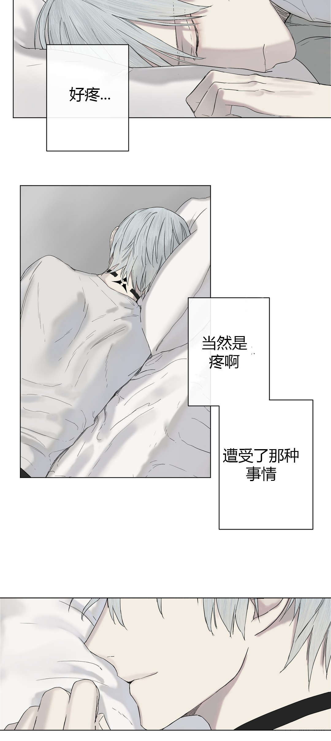 皇家执事第10话图