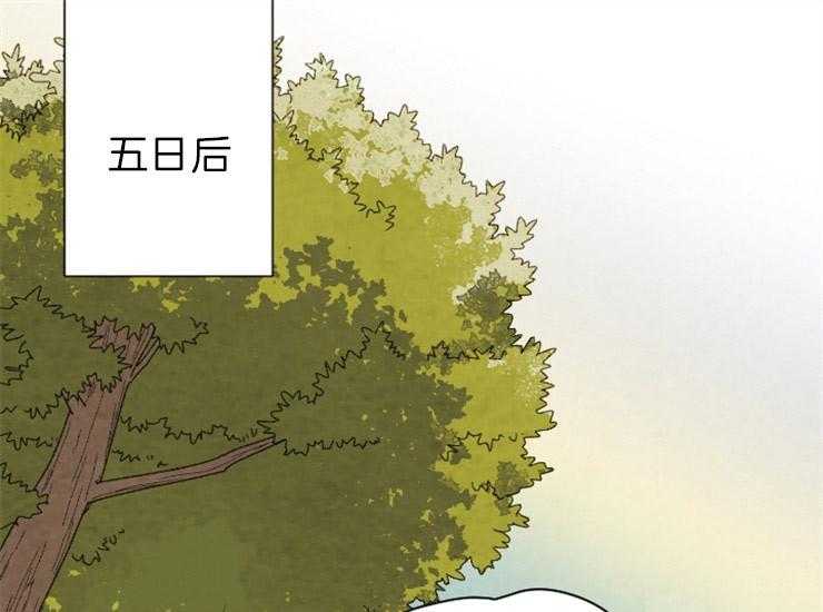 和铉院子第167话图