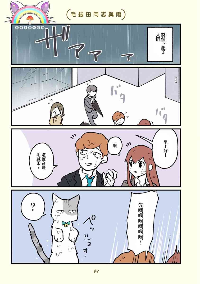 黑心企业的职员变成猫之后人生有了转变的故事10话图