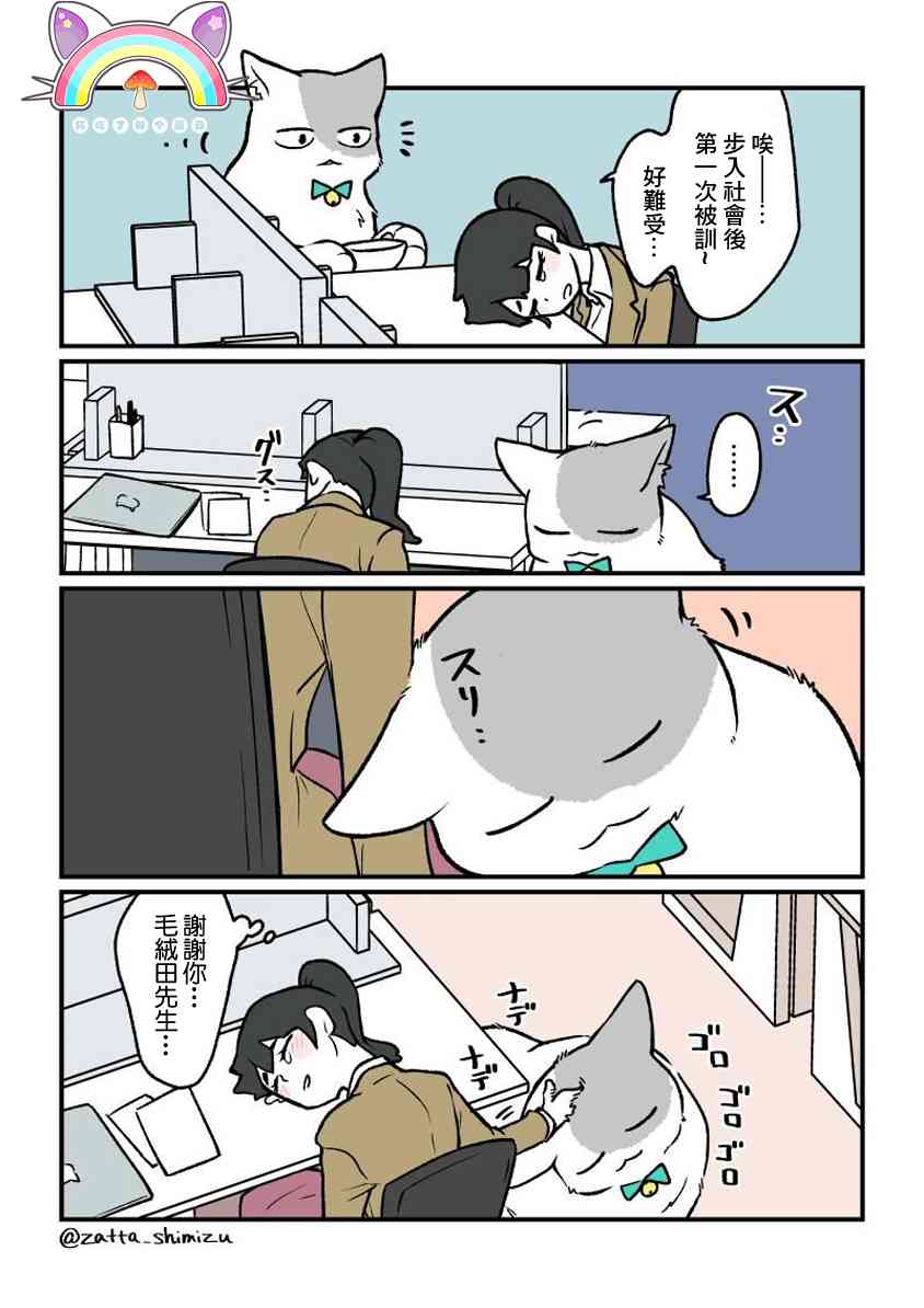 黑心企业的职员变成猫之后人生有了转变的故事番外04图