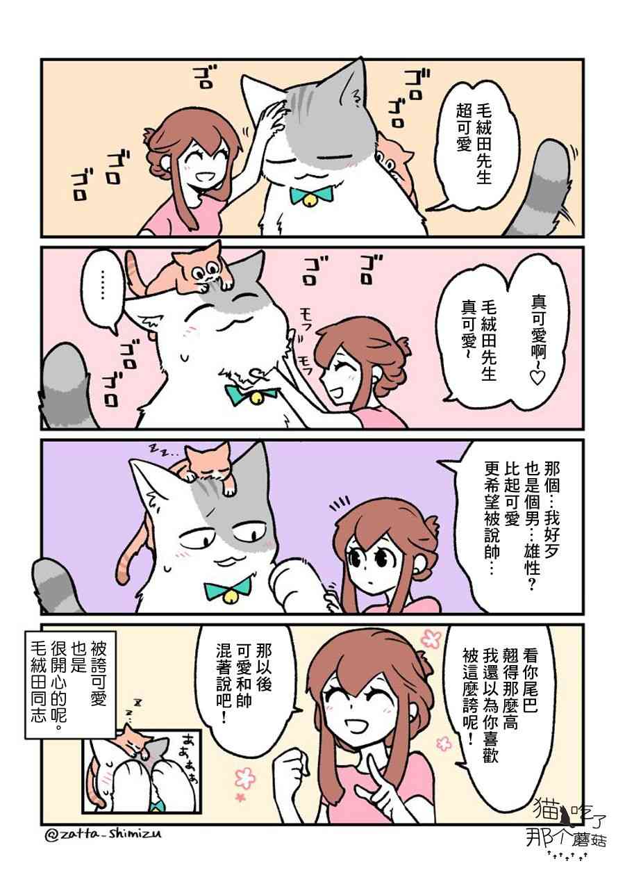 黑心企业的职员变成猫之后人生有了转变的故事番外13图