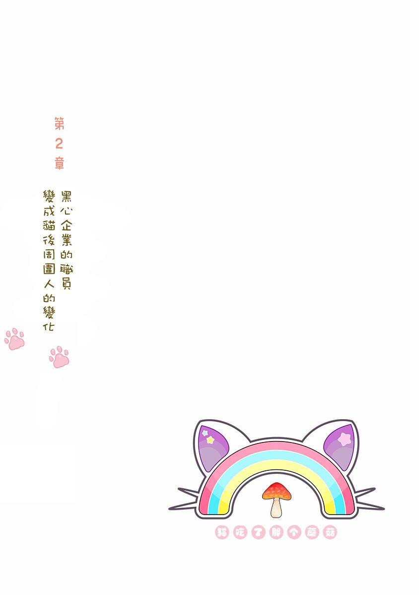 黑心企业的职员变成猫之后人生有了转变的故事5话图