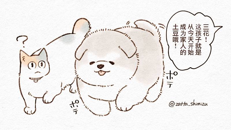 黑心企业的职员变成猫之后人生有了转变的故事作者自创 猫与狗图