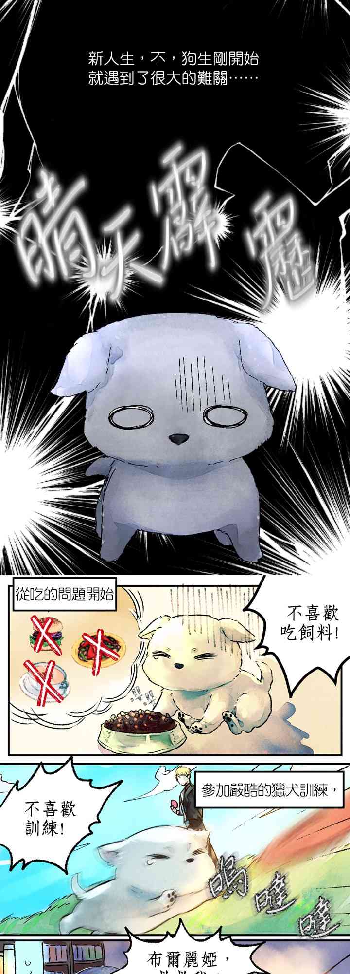 皇帝的小狗狗 1话 第12页