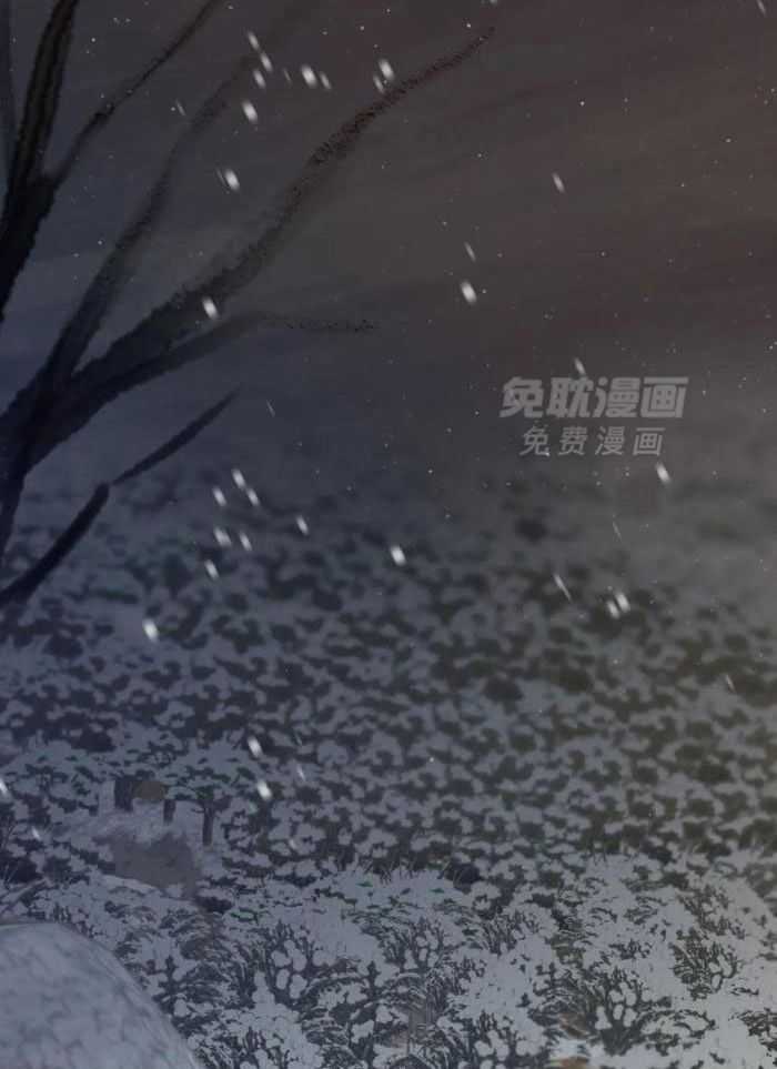 虎的心脏第1话图