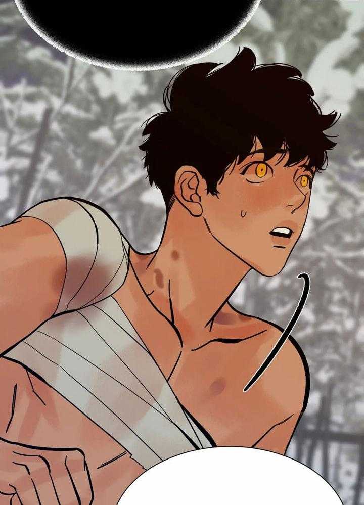 虎的心脏第12话图