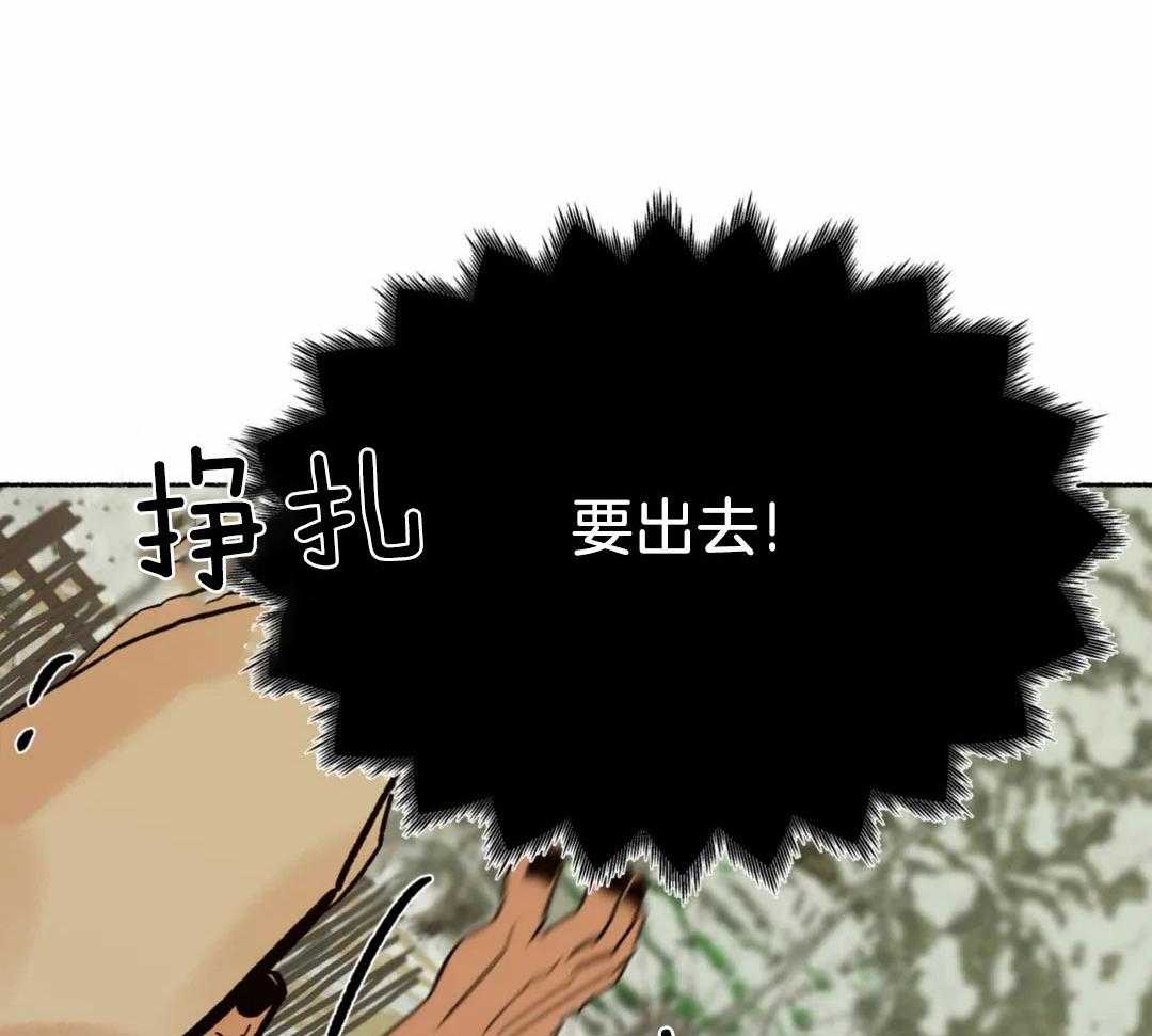 虎的心脏第14话图