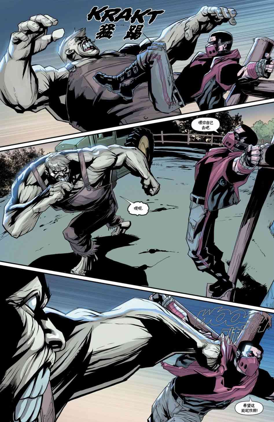 红头罩与法外者v228卷图