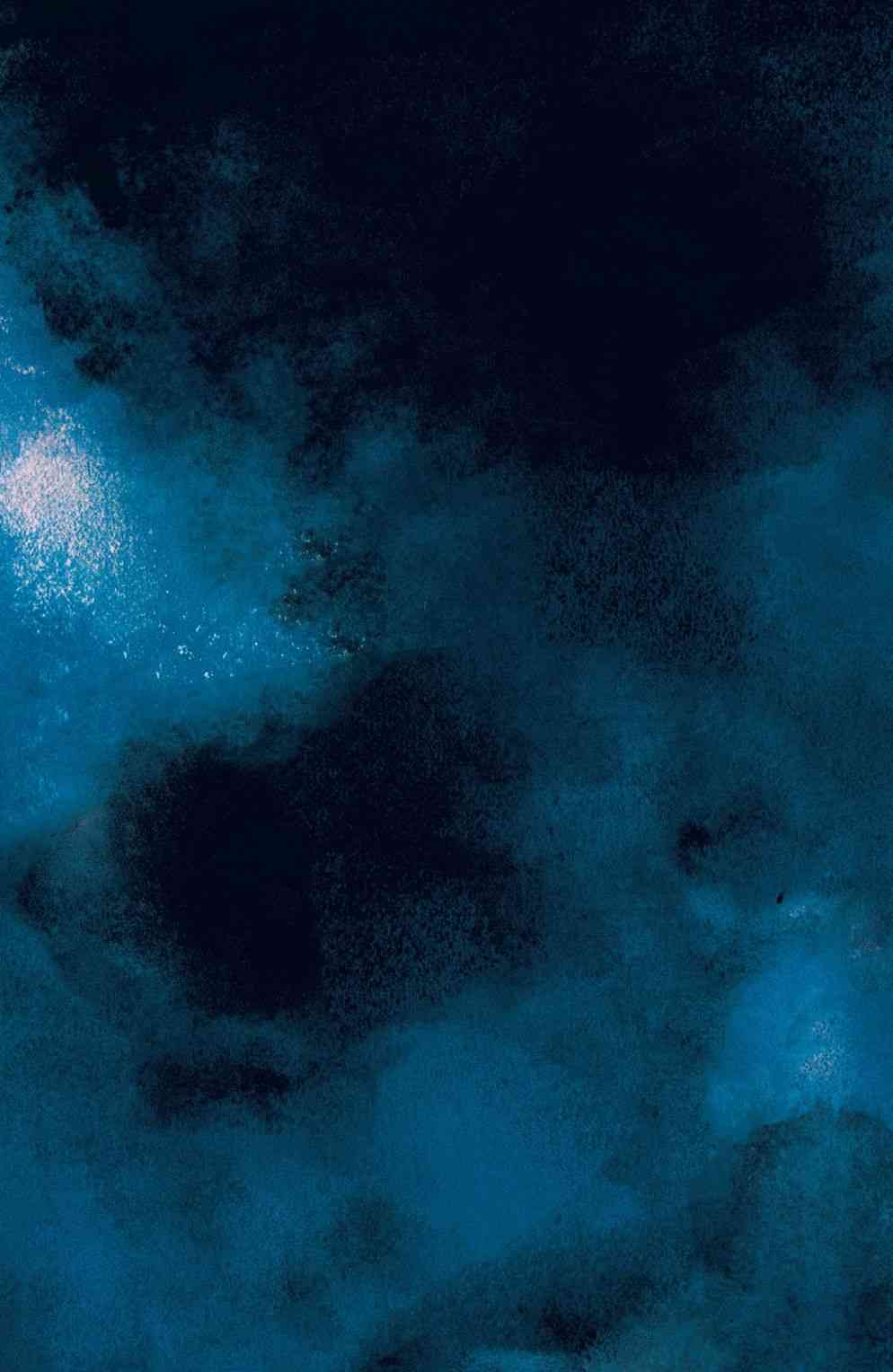 黑暗骑士III：至高种族6卷图