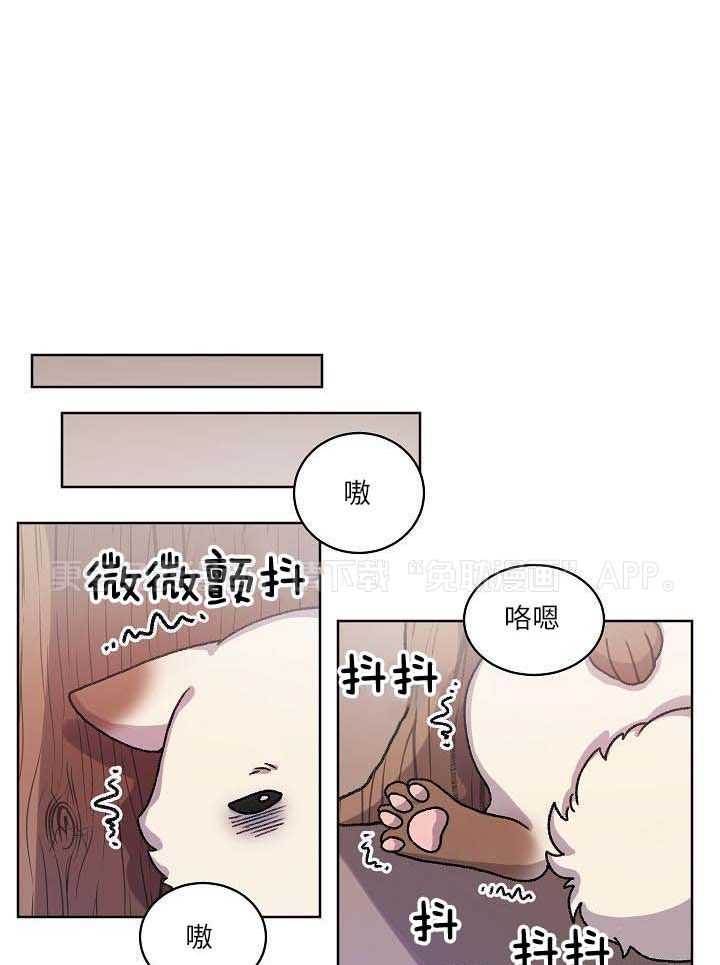 狐神的请求第27话图