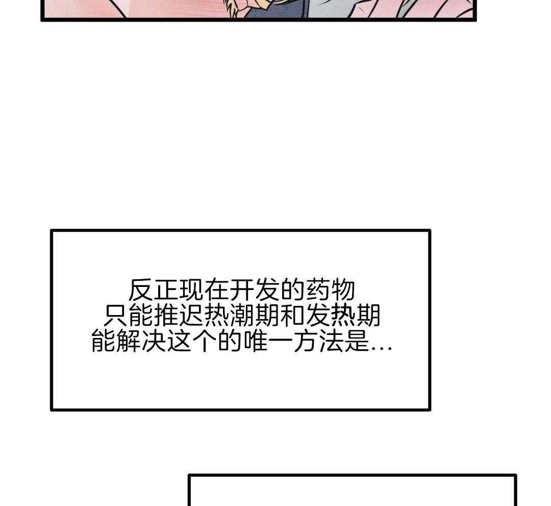 黄金搭档第13话图
