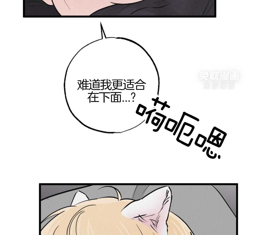 黄金搭档第14话图