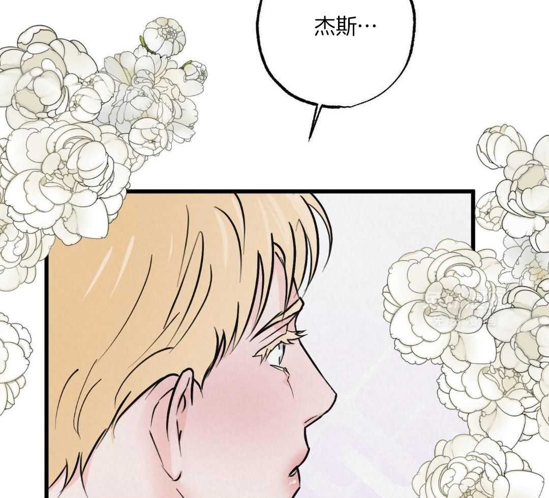 黄金搭档第17话图