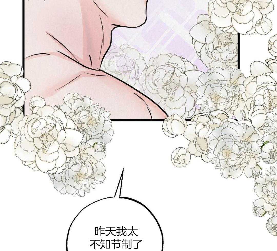 黄金搭档第17话图