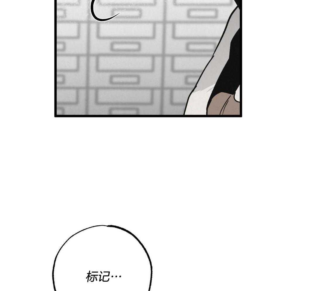 黄金搭档第34话图