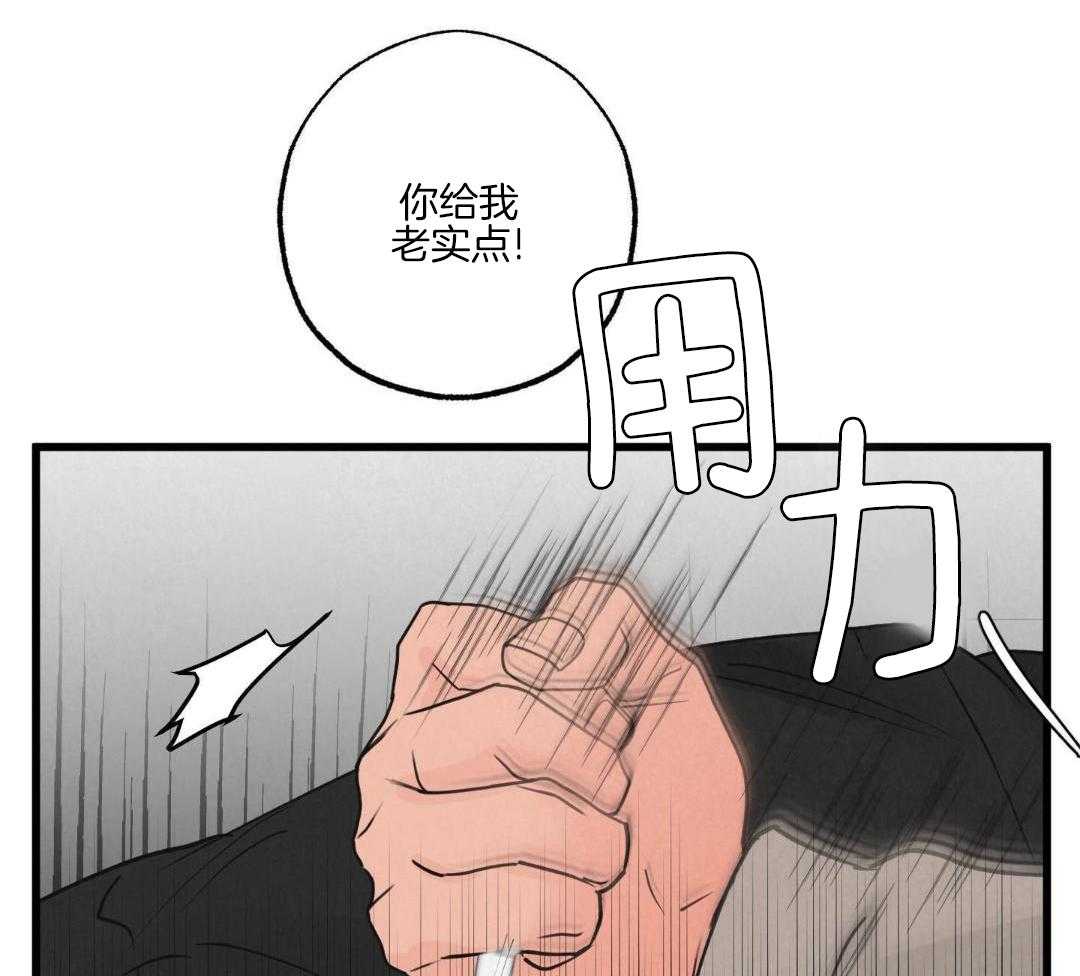 黄金搭档第36话图